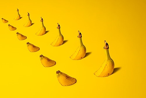 3. 소화 잘되는 과일이자 음식