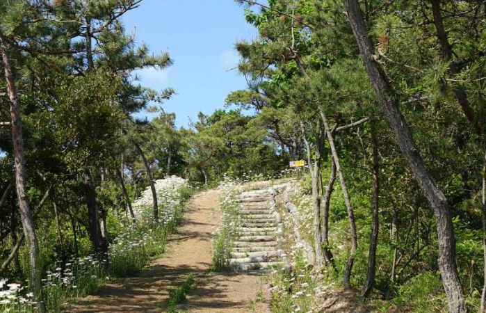 서해 가볼만한곳 베스트10