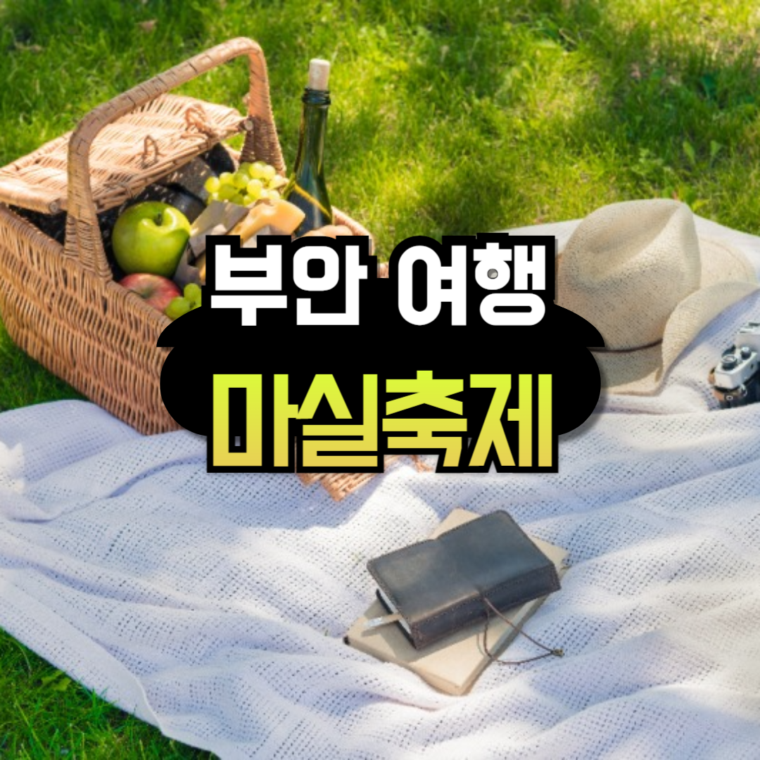 전북 부안마실축제 가볼만한곳 초대 가수?
