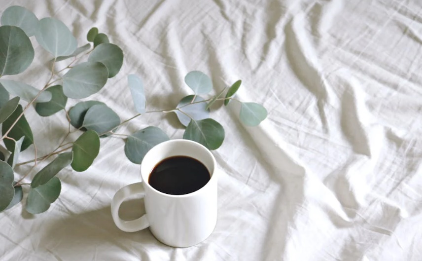 모닝커피의 효능