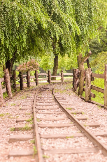 남이섬 기차길