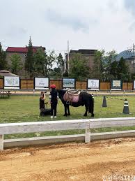 남양주 가볼만한곳 - 비스타밸리