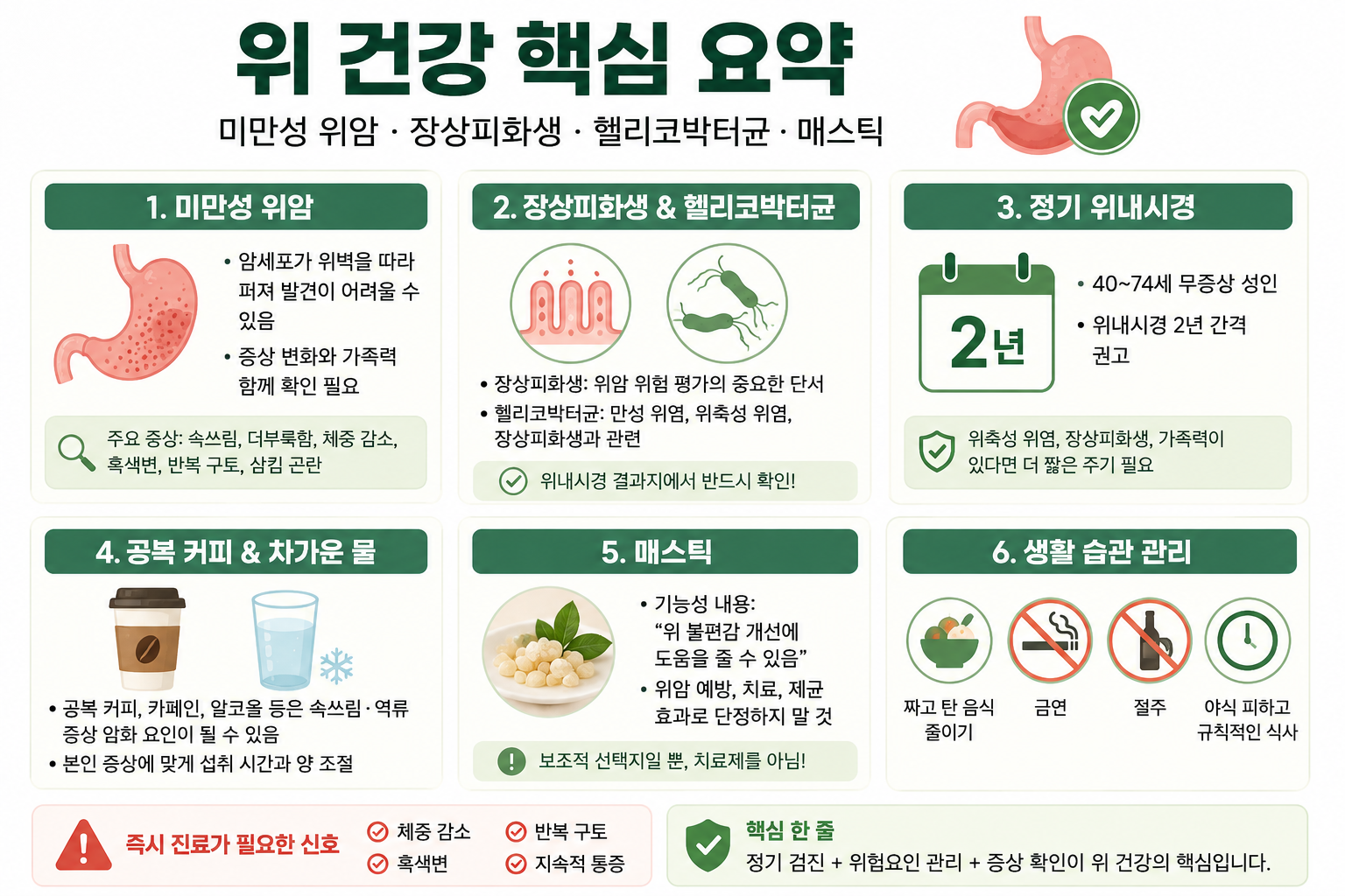 장상피화생&middot;헬리코박터균&middot;매스틱, 위 건강 관리에서 꼭 구분할 것들