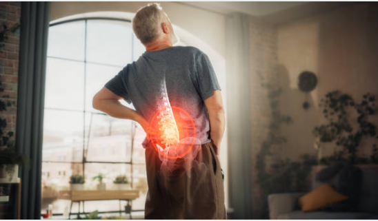 허리 건강의 모든 것 : 통증 없는 삶을 위한 똑똑한 예방법