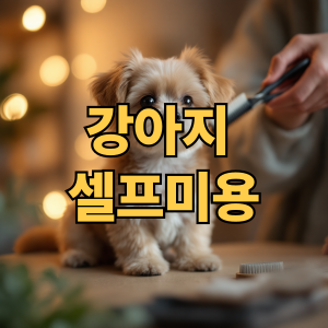 강아지 셀프미용 초보 가이드|처음 하는 분도 따라할 수 있는 쉬운 방법