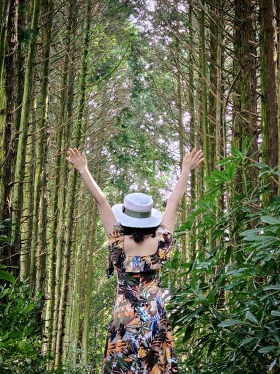 제주-가족여행-코스-마음디톡스-비밀의 숲-휴양림