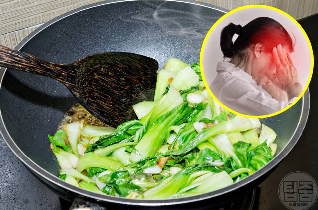 빈혈 좋은음식 청경채 천연철분제 갱년기빈혈 노인빈혈