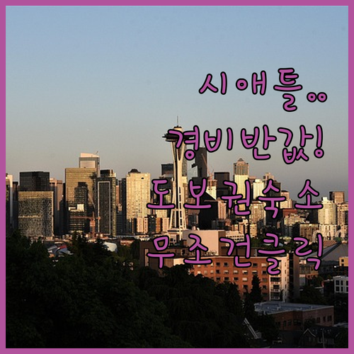 물가 비싼 시애틀 여행에서 경비 반으..