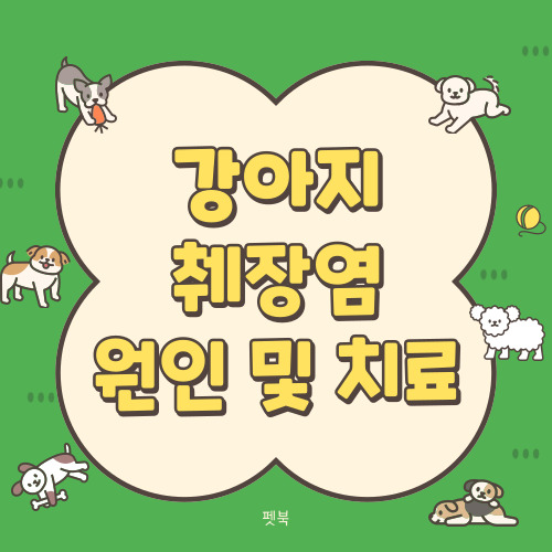 강아지 췌장염 증상, 원인 및 치료, 췌장염에 좋은 음식, 사료 알아보기