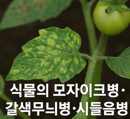 식물의 모자이크병·갈색무늬병·시들음병 원인과 예방 사진