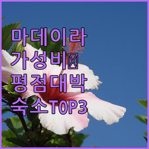 포르투갈 마데이라 섬 여행 평점 좋은..