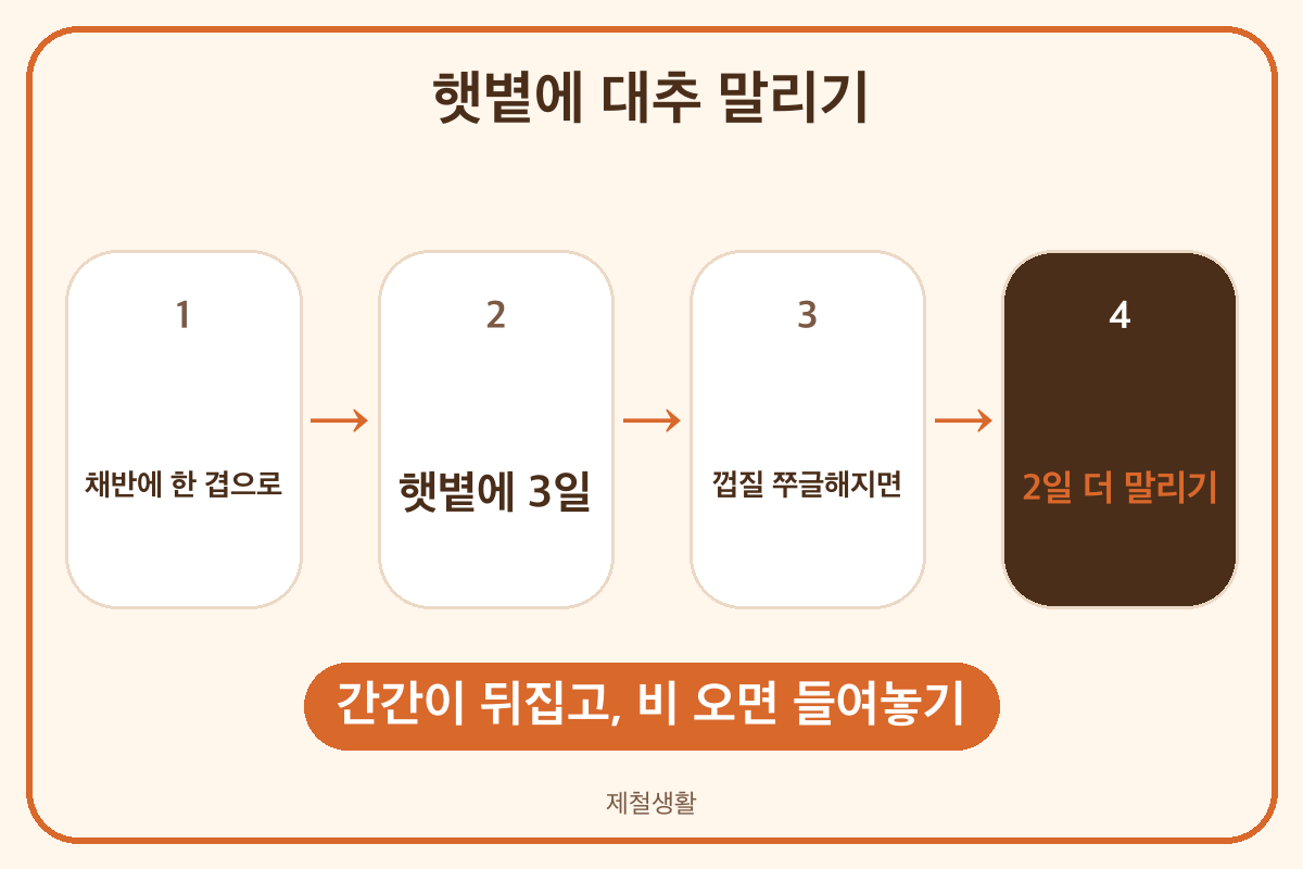 대추 햇볕 건조 순서 채반 3일 쭈글쭈글 2일 더