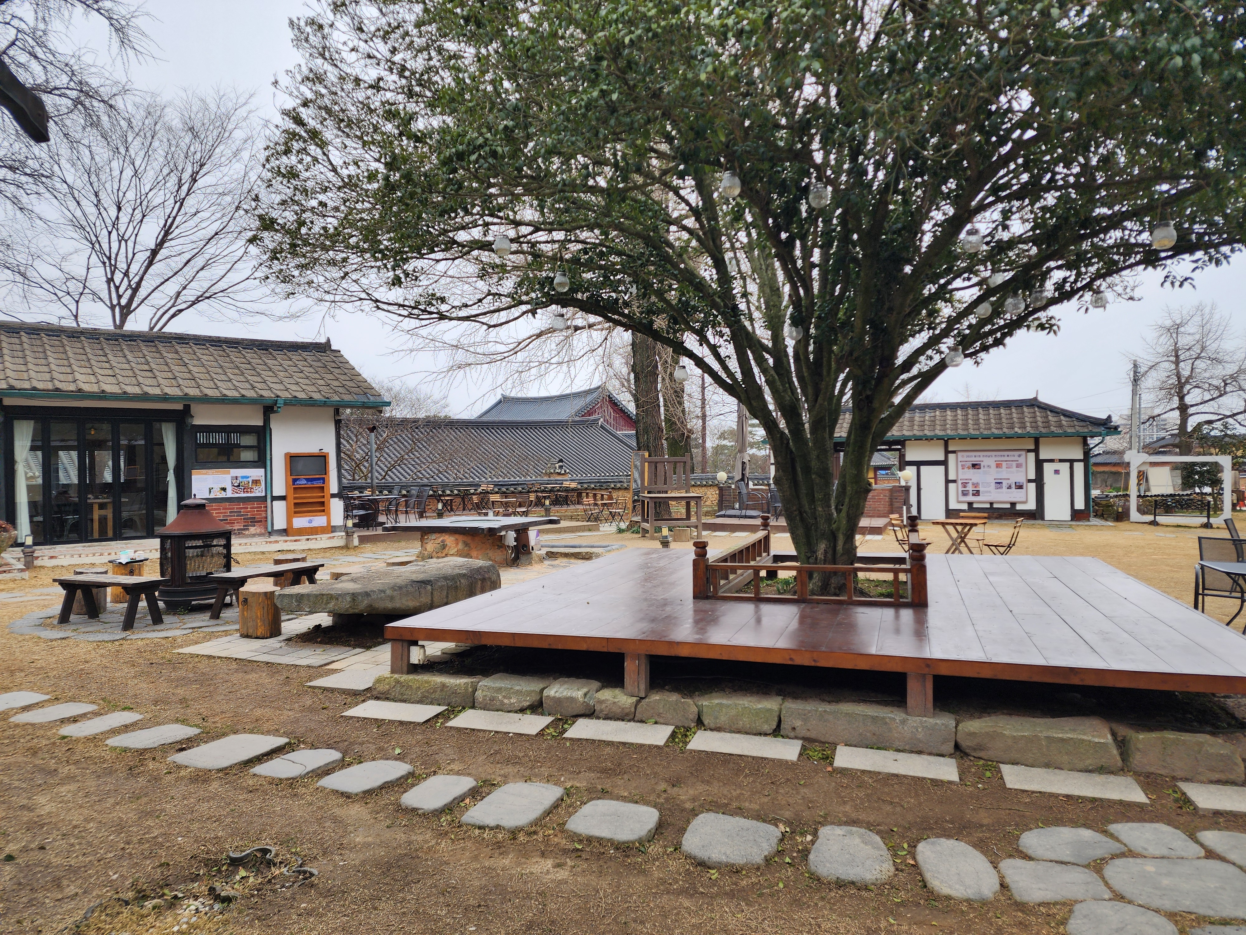 3917 마중 카페 금목서