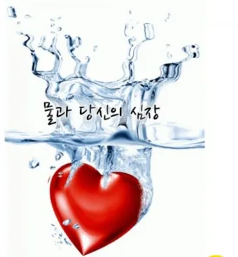심장에 물이 차는 이유와 관련 질병_28