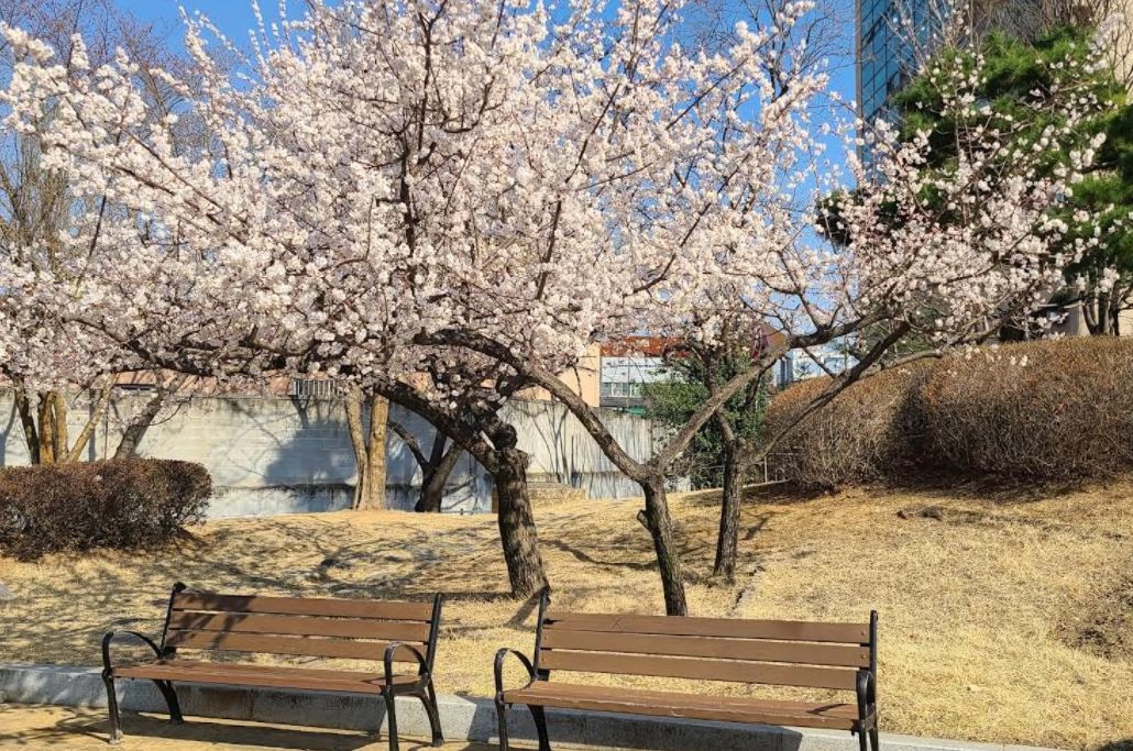 강변조각공원