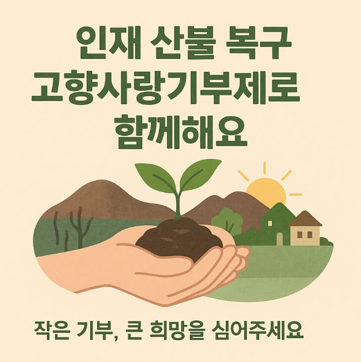 인제 산불 피해 현황