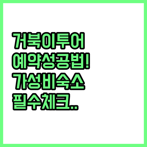 호주 번다버그 몬 리포 거북이 투어 ..
