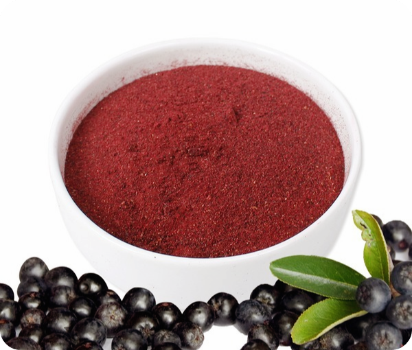 아로니아-먹는-가장-좋은-방법