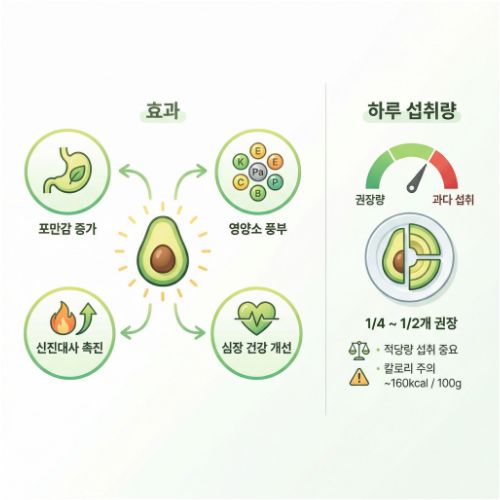 아보카도 다이어트