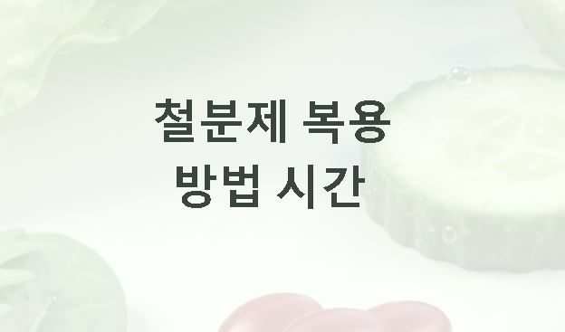 철분제 복용방법 시간