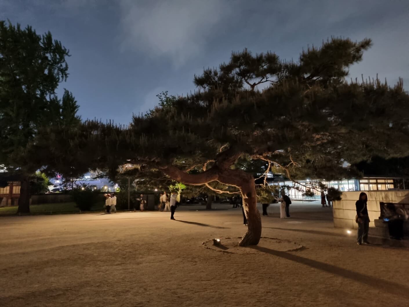 서울 야경 명소 경복궁 야간 개장 관람 후기