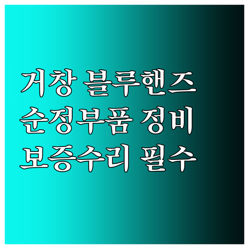 거창 블루핸즈 순정 부품 정비와 신차..
