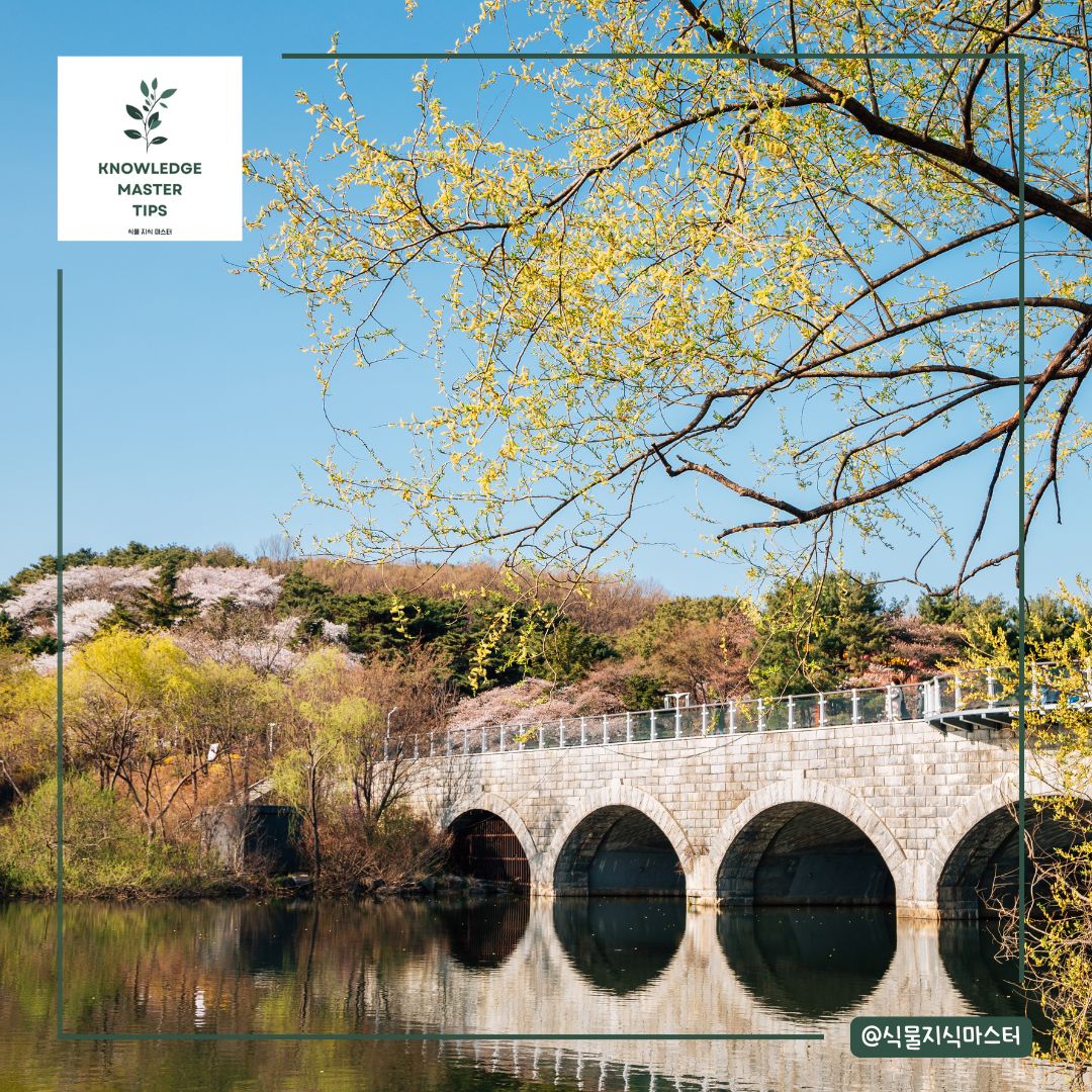 경기도 단풍 명소 - 과천 서울대공원