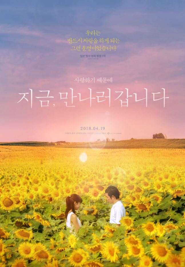 해바리기 밭에 남녀가 나란히 마주 보고 있는 모습