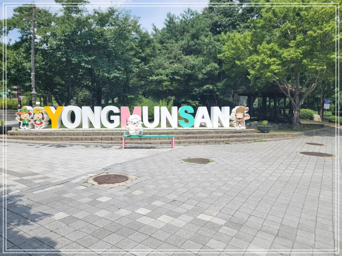 용문사-20250808_133945