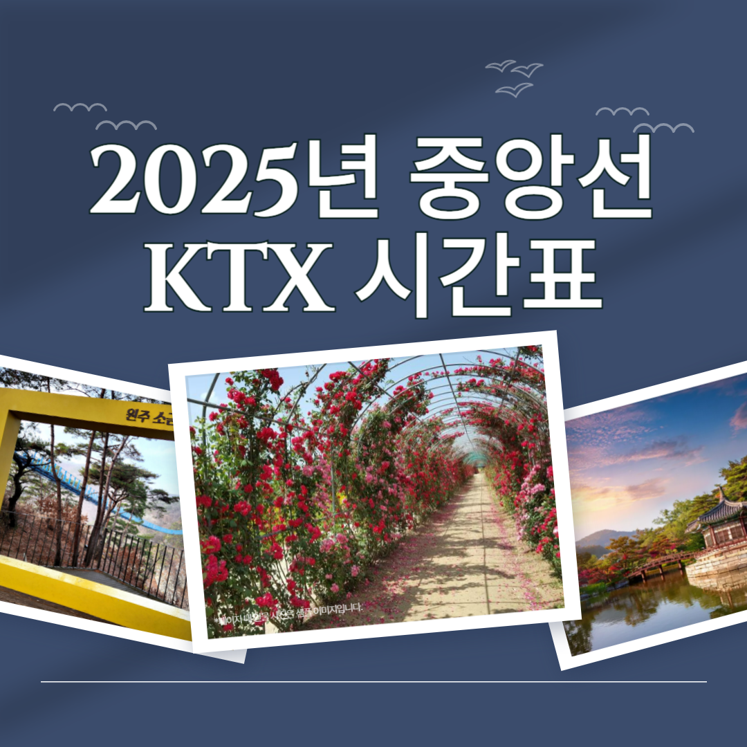 2025년 청량리역 ↔ 부전역 중앙선 KTX 기차시간표🚄 열차시간표 확인 및 실시간 조회