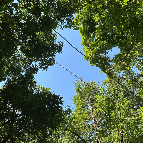 비타민 D, 햇볕만으로 충분할까?