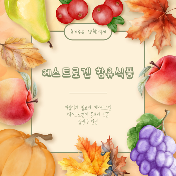 에스트로겐 함유식품