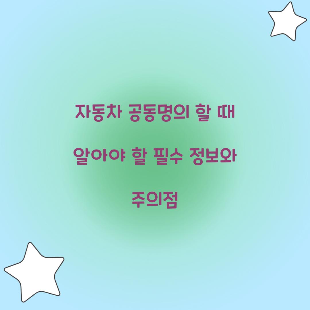 자동차 공동명의
