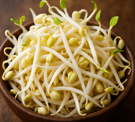 콩나물 관련 사진