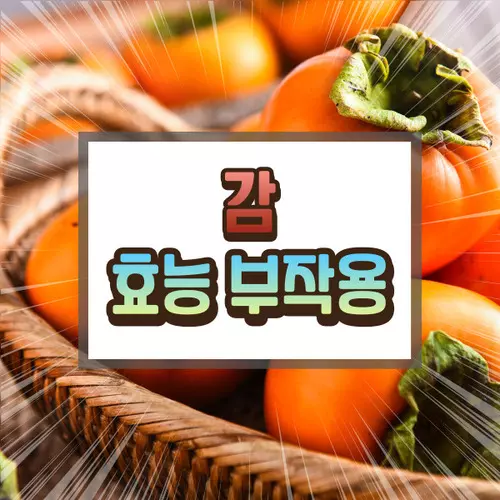 감 효능 부작용에 대하여