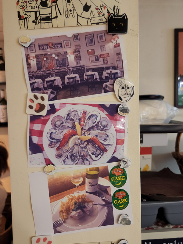 장화신은_고양이_실내04