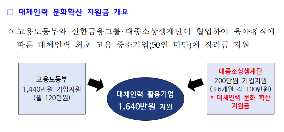 대체인력 문화확산 지원금 - 대상 기업 / 지원 내용 / 신청 방법 및 절차