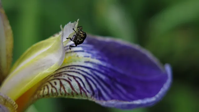 구미 가볼만한곳 베스트10 여행 당일치기 코스_4