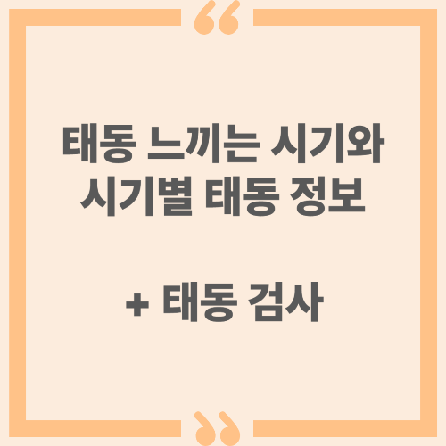 태동 느끼는 시기부터 시기별 태동 정보 + 태동 검사