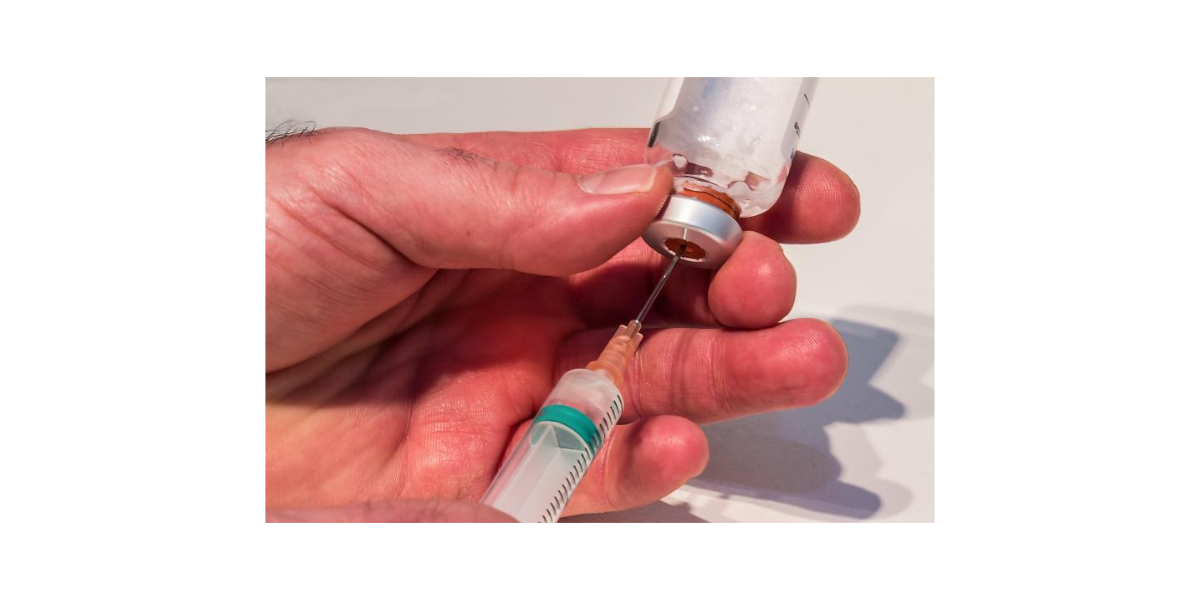 스테로이드주사