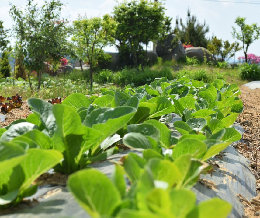청주랜드 어린이체험관
