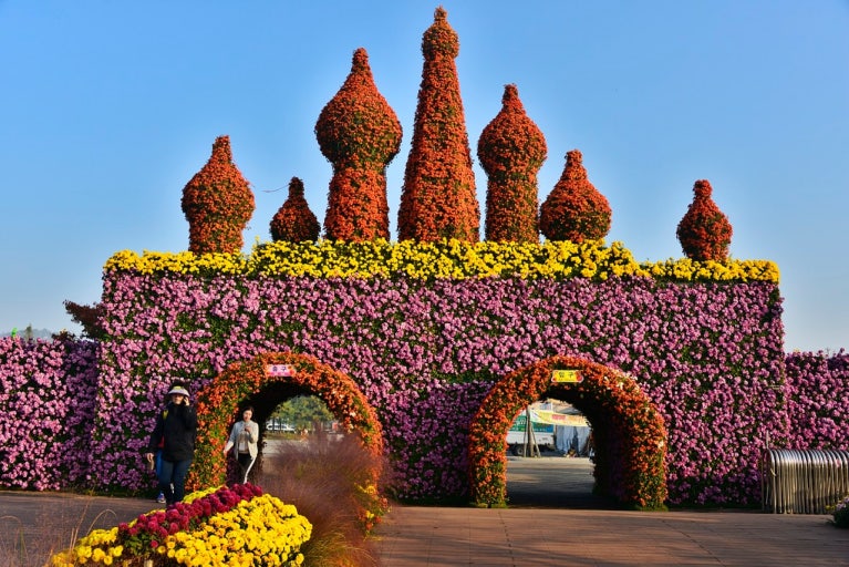 2025 전남 함평 국향대전 마법의 국향랜드