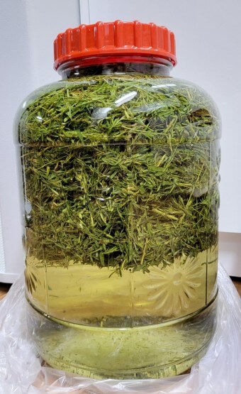 야관문 효능과 부작용 및 술 담그는 법