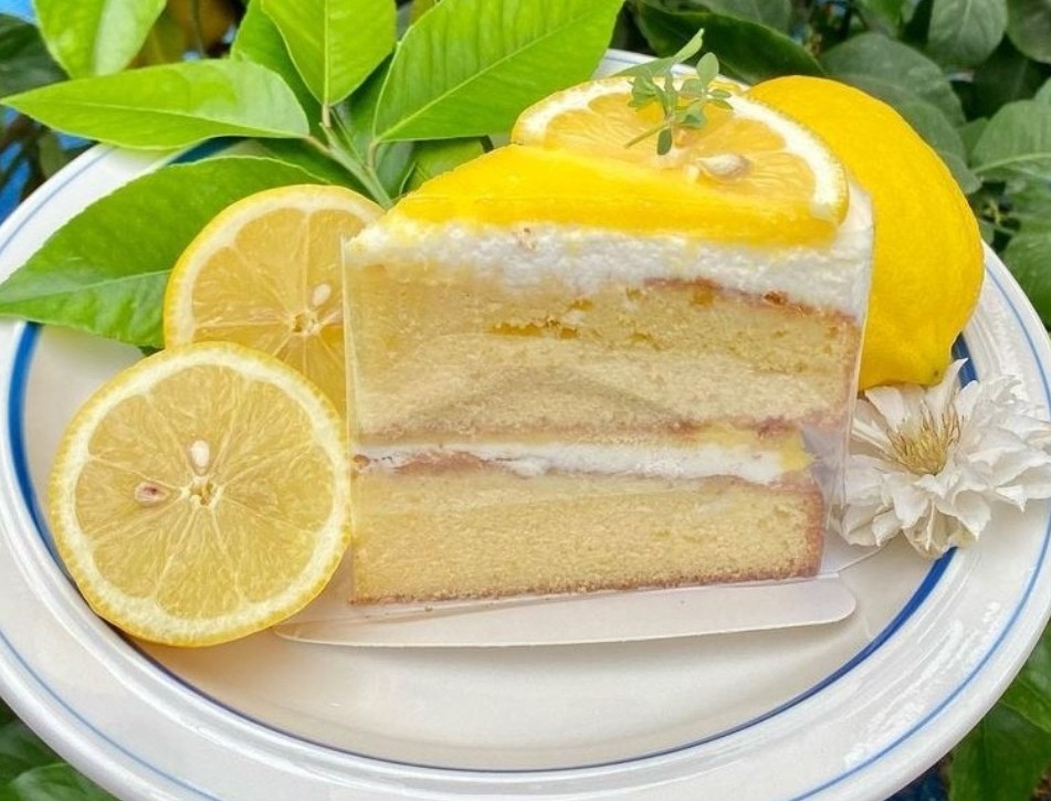 6시내고향 완주 레몬빵 레몬커스타드케이크