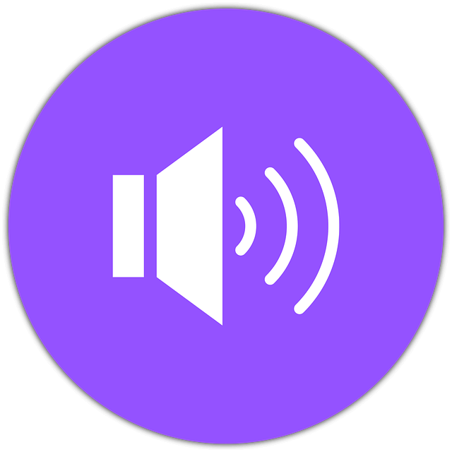 보청기-국가보조금-지원