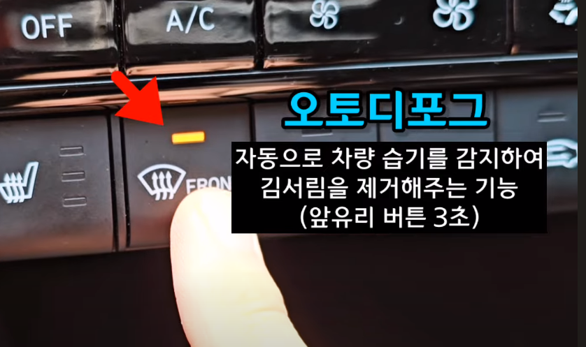 오토디포그