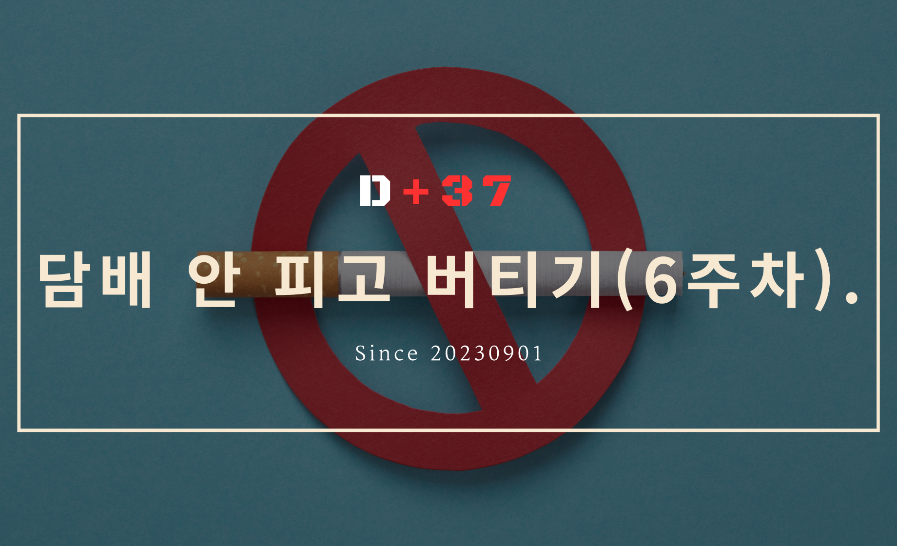 담배 안피고 버티기...6주차...금연은 아님