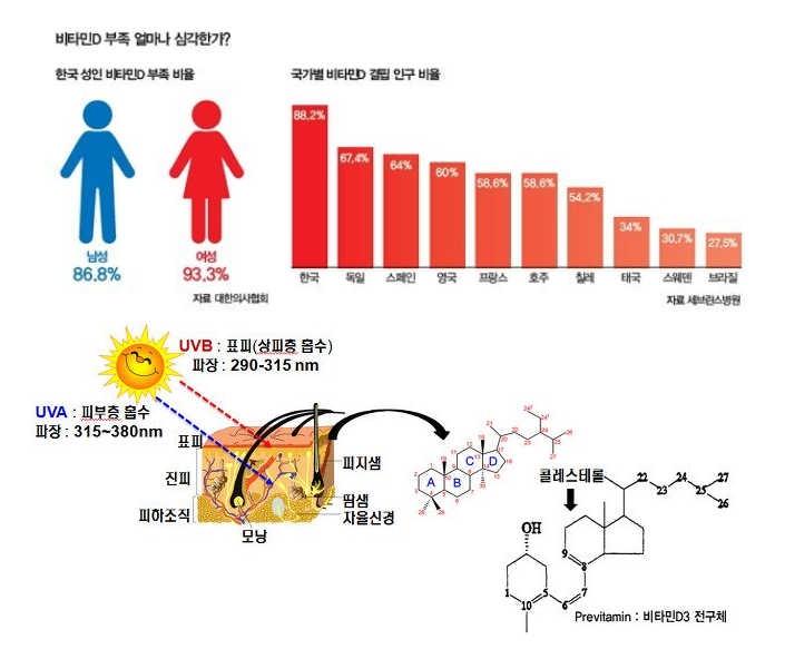 비오틴효능7