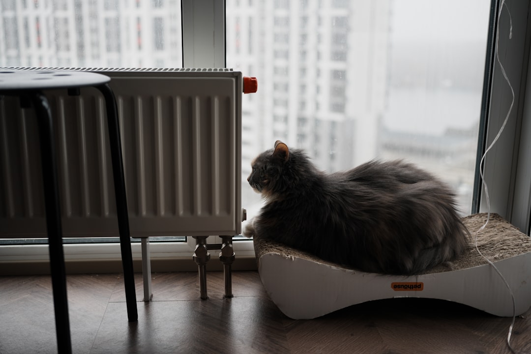 Heating pad.