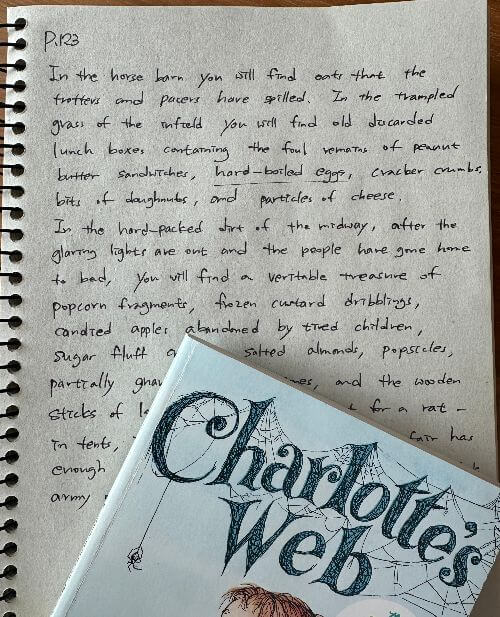 charlotte&#39;s-web-샬롯의-거미줄-영어-원서-필사-책